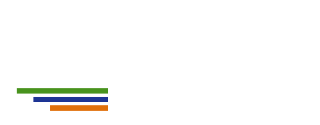 LOGO OL SCHOOL COLORE BIANCO